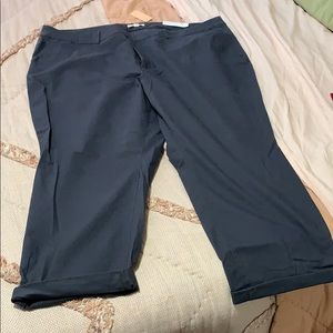 Loft Pants Size 24